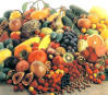 Grepfruit